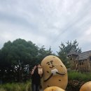 ㈜춘천시민버스 | 춘천 데이트 필수 코스 김유정레일바이크 티켓 현장구매 후기 (춘천시민할인 개꿀)