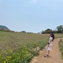 채석강 바다길 포차 이미지