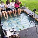 반디불이 민박 네이버블로그