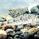 무주읍238 이미지