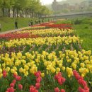 성하1차 앞 이미지