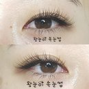 왕눈이속눈썹