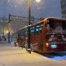 소매곡리 고속도로 아래 간이화장실 | 삿포로 베이스 캠프 비에이 소규모 투어 내돈내산 일정 화장실 자세한 후기