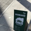 울산 클라이밍 일일체험강습 후기 삼산 월담클라이밍