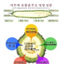 여명농장 이미지