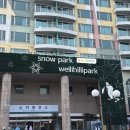 (주)은지산업 | 26 시즌 X5 시즌권으로 다녀온 5곳 스키장 비교 ｜강촌엘리시안·지산·하이원·웰리힐리·모나용평 총정리