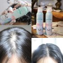 씨팝케어 | 씨팝 물범샴푸 딥쿨링 탈모두피케어 팁!