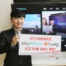 스카이라이프