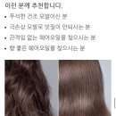 헤어라이브 이미지