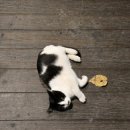 자유지역 편의점 | 정선 파크로쉬 사우나 수영장 편의점 등 겨울 강원도 리조트 여행