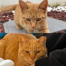 경북할인마트 | 대구 여행 | 경북 청도 프라이빗한 커플 독채 펜션 | ‘청도어썸데이풀빌라’ 재방문 후기(+일상)