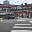 마장백화점약국 이미지