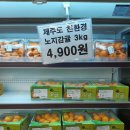미룡 이미지