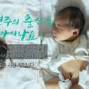 맘스베베자연출산1조산원 네이버블로그