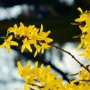 충훈2교 옆 이미지