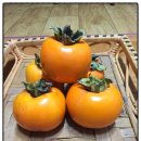 김종성 농장 | <10월24일장터>공주맘을 위한 공주시 로컬푸드 직거래 장터 사용법 ^^