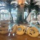 썬파크장 이미지