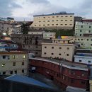 구평농장 이미지