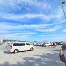 고래국수 | 2025 울산 고래축제 | 음식점 종류 및 애견 동반 후기