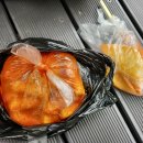 아차산떡볶이도시락
