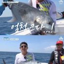 도시어부 이미지