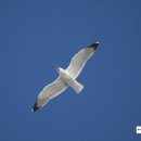 태안119안전센터-2 네이버블로그
