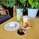 원곡초등학교 | 안성원곡카페 산뷰 정원이 예쁜 신상카페 로스터리카페풍요 방문후기