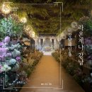 1219푸드 | 강남웨딩홀 라온제나 강남 플로렌스홀 하객 후기