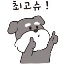 제주 호박 민박 이미지