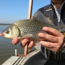 사계지낚시터 이미지