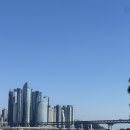 도그민 | 부산 광안리 술집 추천 + 부산 애견카페 도그민 다녀왔어요!