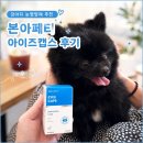 레오 | 강아지눈영양제 추천 본아페티 아이즈캡스 레오 급여후기