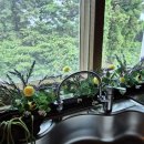 이그제큐티브홈 인 제주 이미지