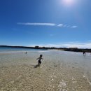 하우목길52 | 조용한 우도섬- 우도 갈만한 곳 하고수동 해수욕장