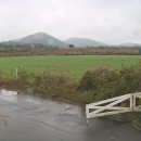 금수목장 이미지