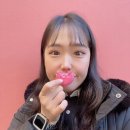 프라하 대성당, 프라하 기념품, 프라하 스트라호프수도원 맥주, 프라하 수도원양조장 방문후기, 프라하...
