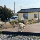 일출민박 이미지