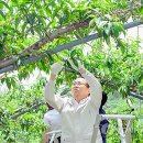 유한식농장 이미지