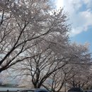 청학동여관 이미지