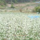 가재골농장 이미지