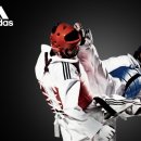 나래태권도 아카데미 이미지