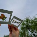 죽전1동 주민센터 이미지