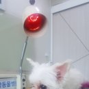 두암동물병원 이미지