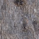 나무껍질(bark) 텍스처이미지 이미지