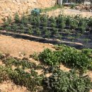 헤이리풀빌라워라밸호스텔 이미지