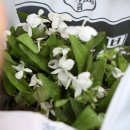 옥산농원 - 동래구 금강로 107 | 옥산농원