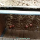 가람뫼농장 이미지