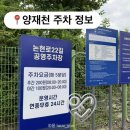 샹하이 앞(공영주차장) 도로가 | 서울 양재천 주차 꿀팁 _ 요금 저렴하고 접근성 좋은 논현로22길공영주차장 정보 정리
