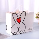 장가방 쇼핑하우