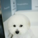 라비동물병원 이미지